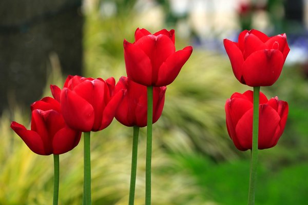 Ravalement à orléans : redonnez éclat et protection à votre façade !